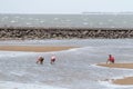 Locals collecting shellfish along the beach